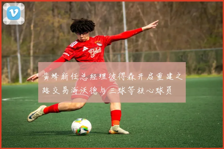 黄蜂新任总经理彼得森开启重建之路交易海沃德与三球等核心球员